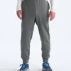 Herren TNF™ Performance Fleece SW Hose Herren TNF™ Performance Fleece SW Hose