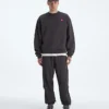 Herren TNF™ Red Box Crew Herren TNF™ Red Box Crew