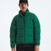 Herrenjacke 1996 Retro Nuptse DTM Herrenjacke 1996 Retro Nuptse DTM