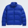 Herrenjacke 1996 Retro Nuptse DTM Herrenjacke 1996 Retro Nuptse DTM