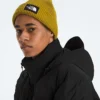 Herrenjacke RMST GORE-TEX® Nuptse Tek Herrenjacke RMST GORE-TEX® Nuptse Tek