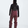 Summit Series Verbier GORE-TEX® Latzhose für Herren Summit Series Verbier GORE-TEX® Latzhose für Herren