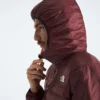 Terra Peak Hoodie für Herren