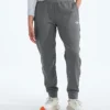 TNF™ Performance Fleece SW Hose für Damen TNF™ Performance Fleece SW Hose für Damen